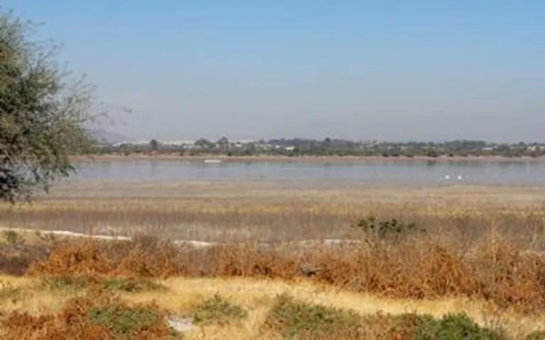 Presas del país también tiene condiciones críticas por falta de lluvias