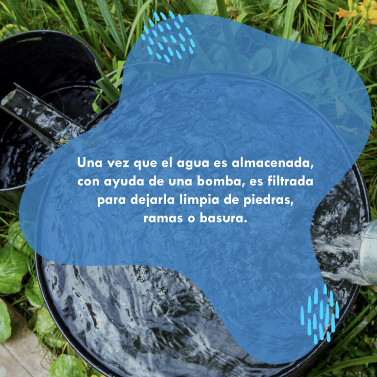 Galería Captación agua-04