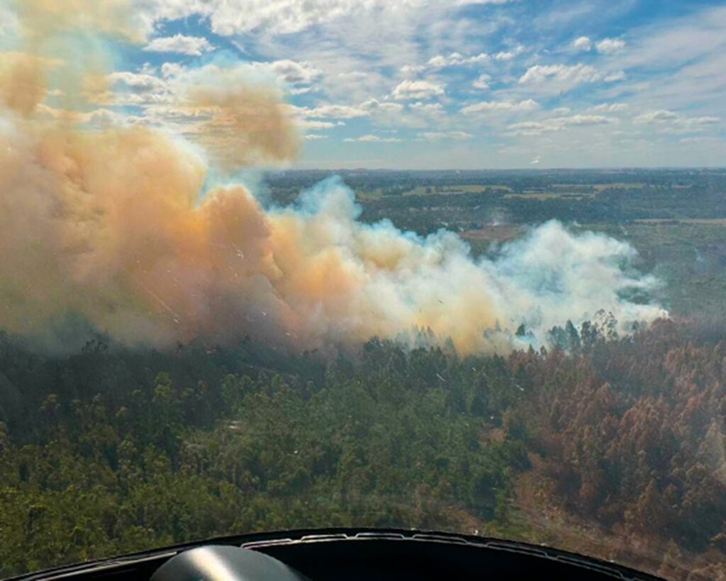 312 incendios han afectado una superficie de 2965 hectáreas chilenas