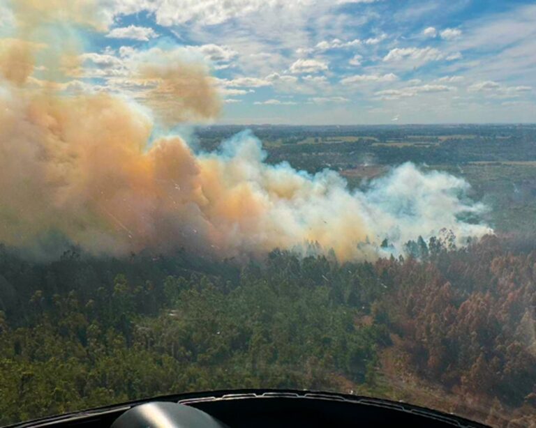 312 incendios han afectado una superficie de 2965 hectáreas chilenas