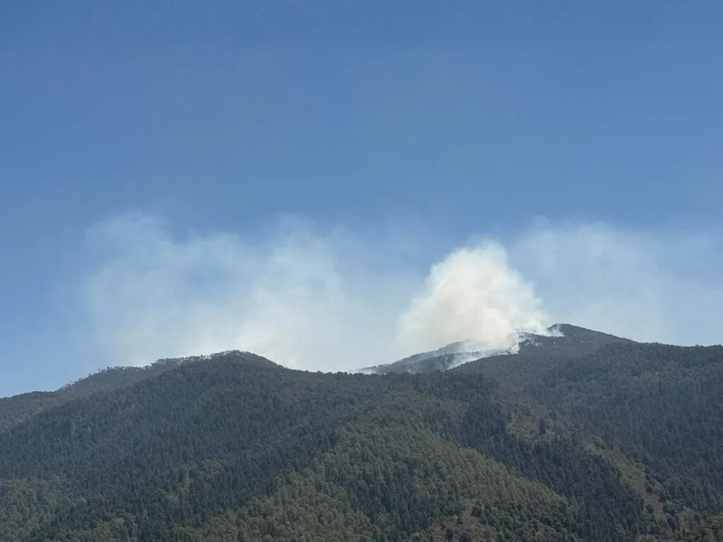 Incendios forestales en Edomex afectan cientos de hectáreas verdes
