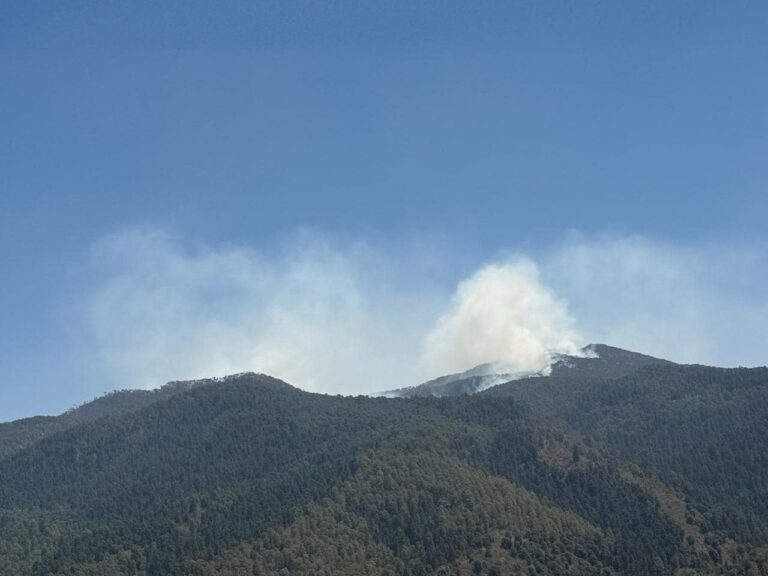 Incendios forestales en Edomex afectan cientos de hectáreas verdes