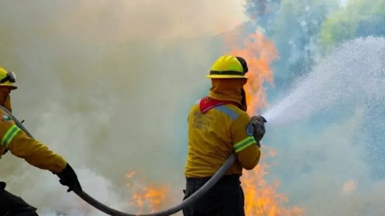 Conafor reporta que 31 incendios han sido liquidados en 18 estados de México