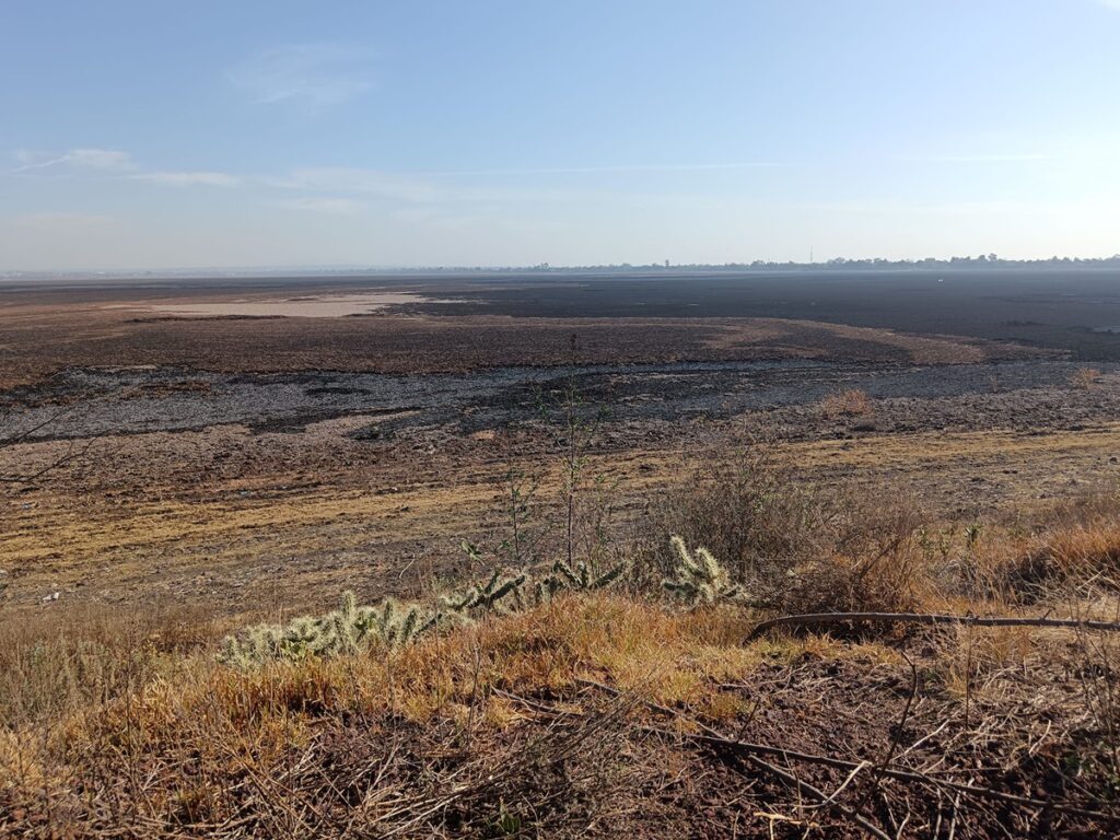 La laguna de Zumpango, imagen perfecta de la sequía en el país