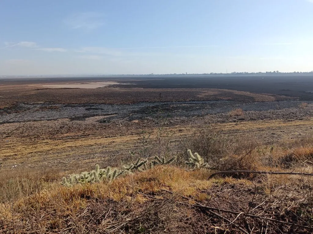 La laguna de Zumpango, imagen perfecta de la sequía en el país