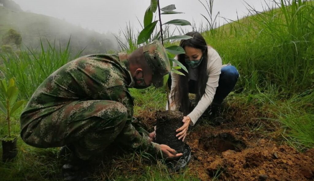 Exmilitares buscan reparar crímenes del conflicto en Colombia con proyecto ecológico