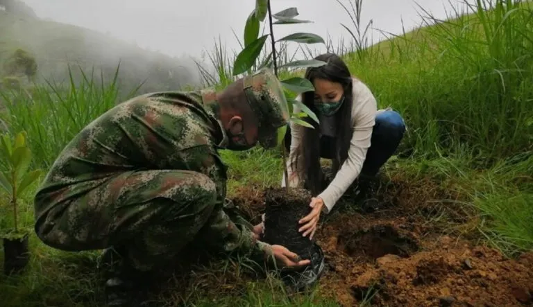 Exmilitares buscan reparar crímenes del conflicto en Colombia con proyecto ecológico