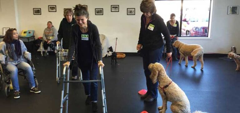 ¿Qué es la terapia asistida por animales?