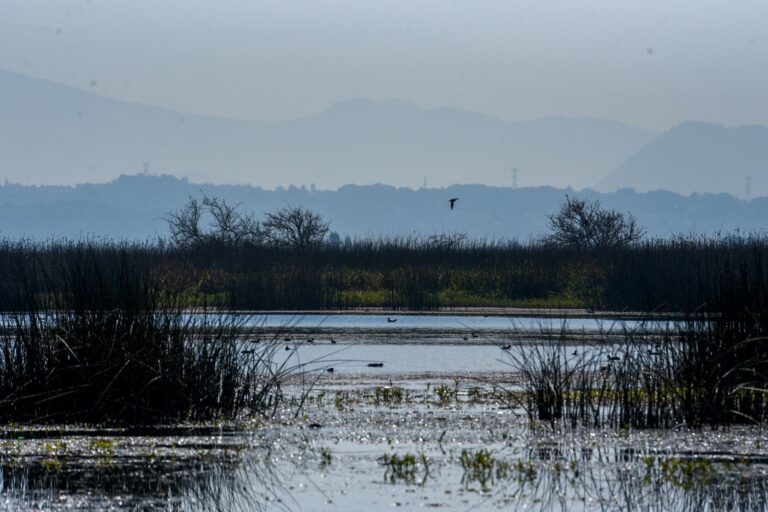 En últimos 50 años, sobreexplotación de los mantos acuíferos aumentó 256%
