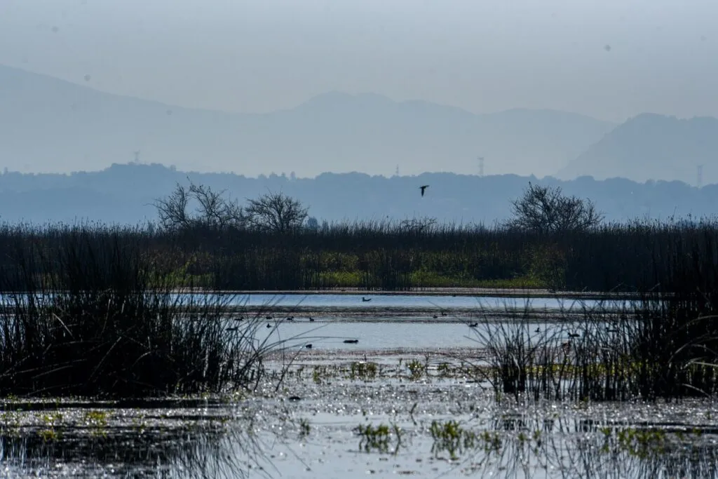 En últimos 50 años, sobreexplotación de los mantos acuíferos aumentó 256%