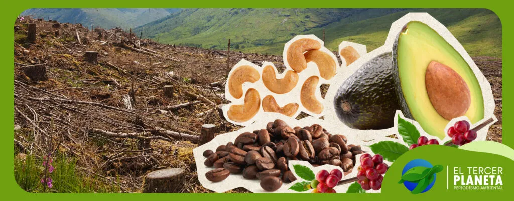 El difícil panorama de la agricultura en el cambio climático