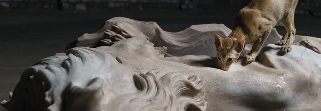 Piden cancelar exposición de “Casts” por presunto maltrato animal