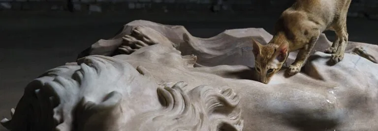 Piden cancelar exposición de “Casts” por presunto maltrato animal