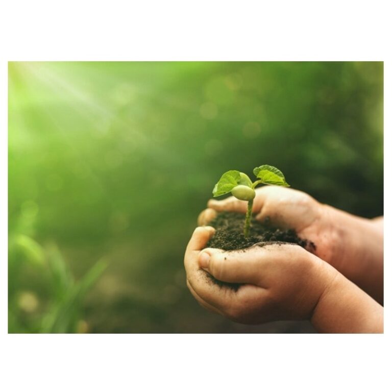 AJEMEX enfoca nuevos productos en usuarios conscientes