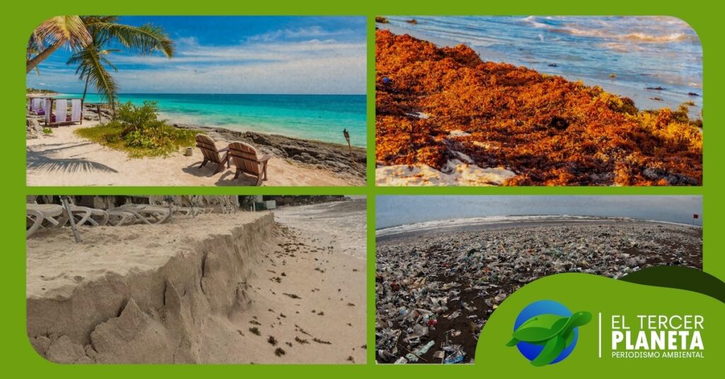 Las amenazas a los trópicos