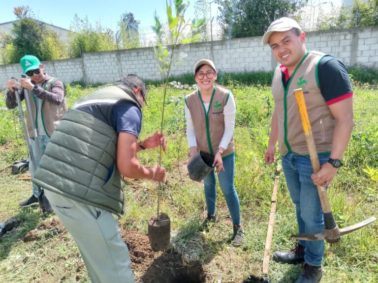 Comunidades lideran conservación ambiental con apoyo de AJEMEX