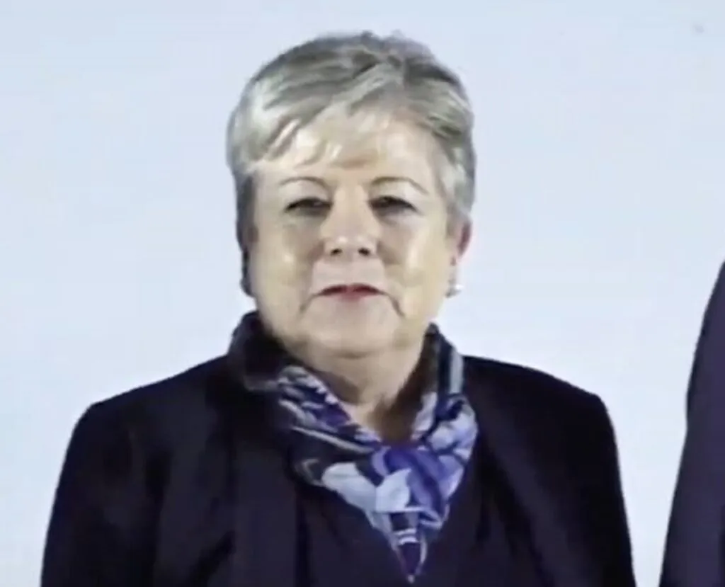 Quién es Alicia Bárcena, la próxima titular de la Secretaría de Medio Ambiente