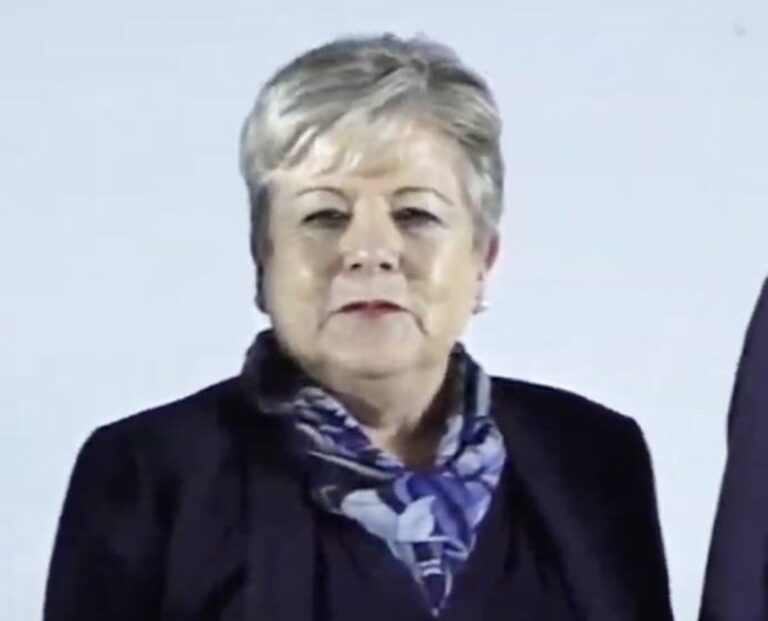 Quién es Alicia Bárcena, la próxima titular de la Secretaría de Medio Ambiente