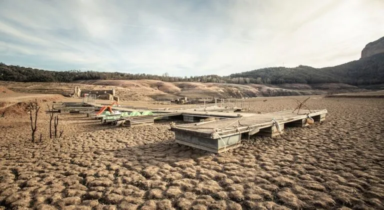 Impulsan restauración y resiliencia ante la desertificación y la sequía