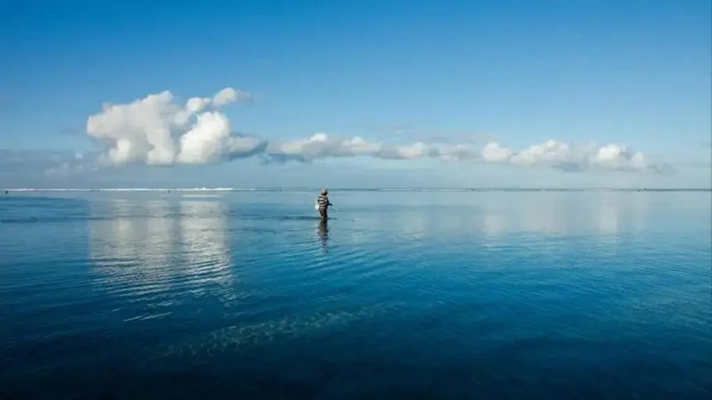 El truco de Estados Unidos para reducir el calor que puede fastidiar a Europa