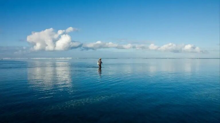 El truco de Estados Unidos para reducir el calor que puede fastidiar a Europa