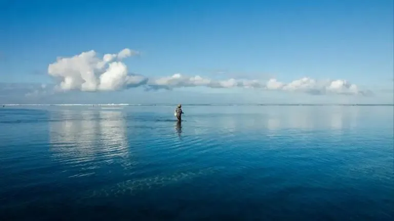 El truco de Estados Unidos para reducir el calor que puede fastidiar a Europa