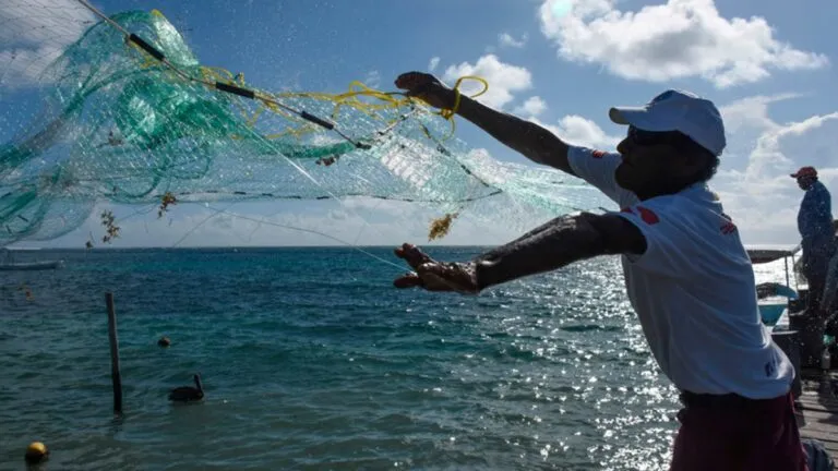 Román Corrons Chávez destaca pesca veracruzana y su derrama