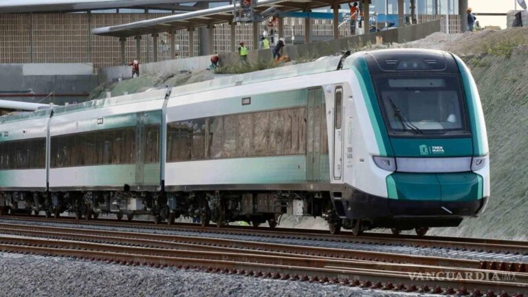 Gobierno de AMLO destina recursos contra el cambio climático para el Tren Maya