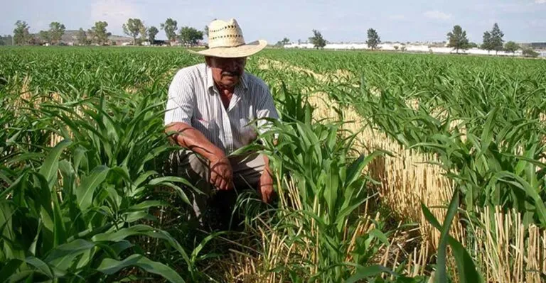 Conagua debe informar sobre los efectos del cambio climático: INAI