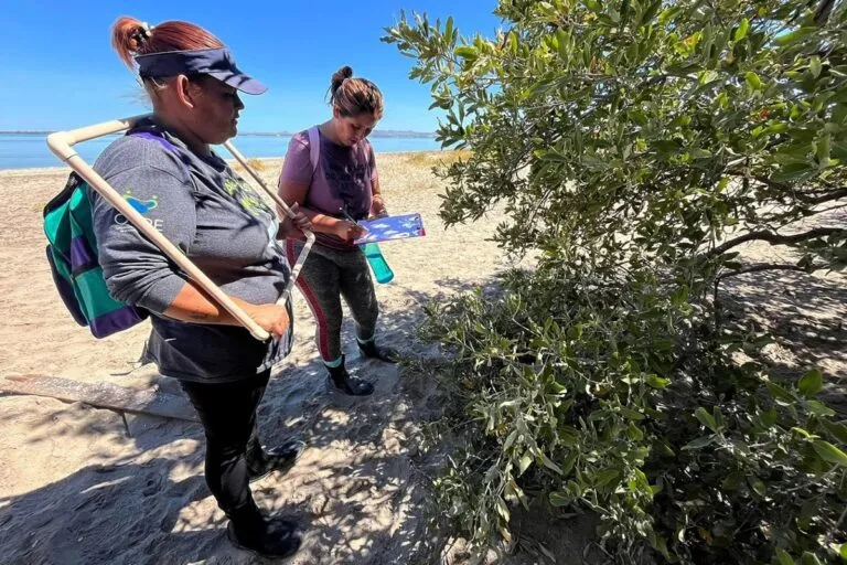 “Debemos subir el tono para que escuchen”, señalan mujeres ambientalistas