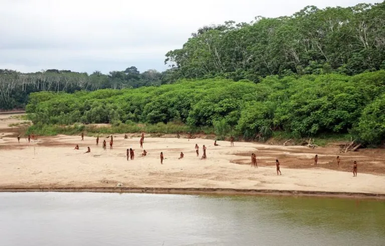 Nuevas imágenes revelan la presencia de madereros en territorio de un pueblo aislado de la Amazonia