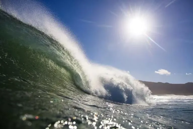 Expertos alertan consecuencias por el incremento del clima en el planeta