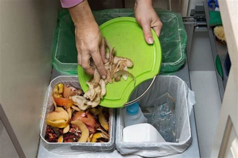 Corea del Sur recicló el 98% de sus residuos alimentarios