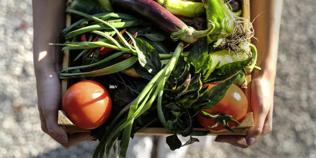 Daniel Madariaga: Alimentos avanzan hacia la sostenibilidad