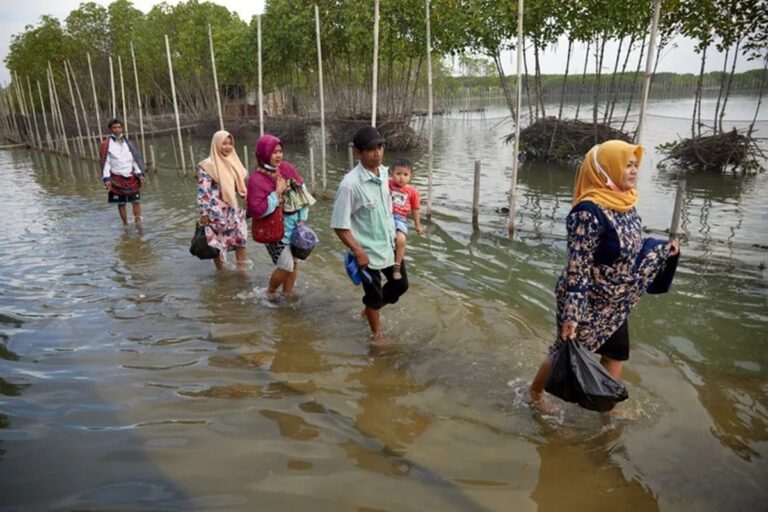 Negacionismo climático: qué es, cómo se manifiesta y qué impactos tiene en el planeta