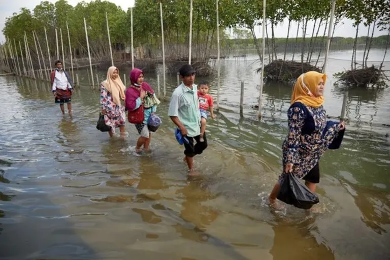 Negacionismo climático: qué es, cómo se manifiesta y qué impactos tiene en el planeta