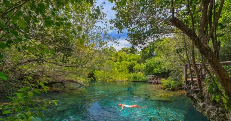 De la ecoansiedad a la acción: las claves para cuidar la salud mental y superar las crisis ambientales