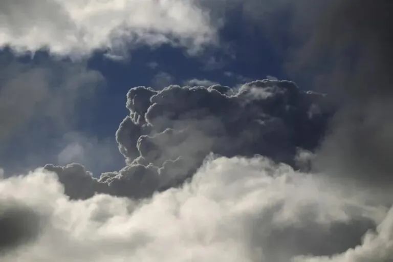 Humo de incendios del Amazonas "dominará" a Uruguay esta semana, advierte Metsul