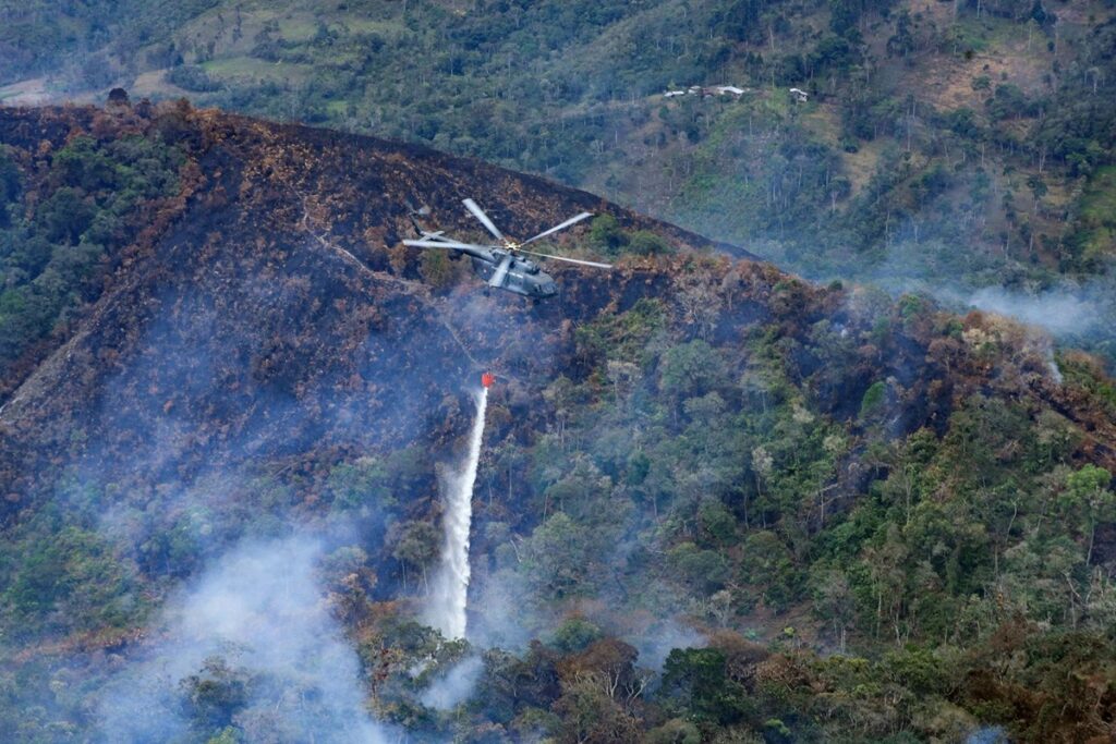 Sube a 15 la cifra de fallecidos por los incendios forestales en la Amazonía peruana