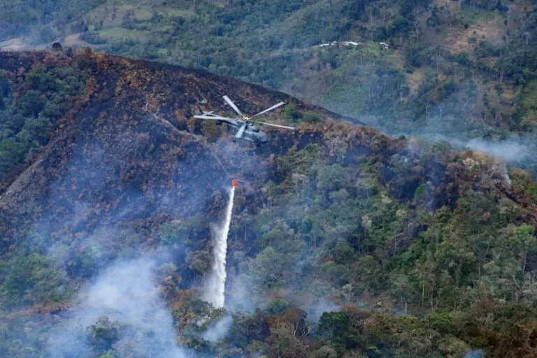 Sube a 15 la cifra de fallecidos por los incendios forestales en la Amazonía peruana