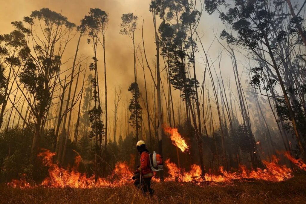 Gran parte de la selva amazónica arde, con consecuencias terribles