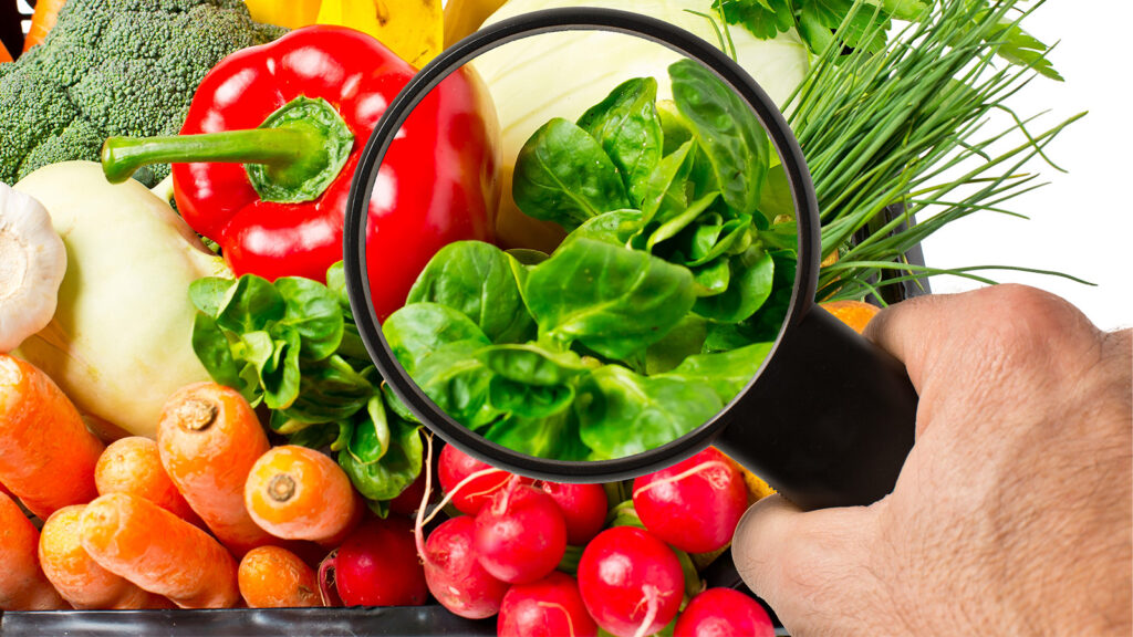 La Cosmopolitana transforma la inocuidad alimentaria con inteligencia artificial