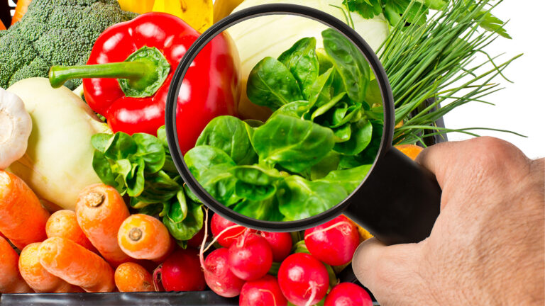 La Cosmopolitana transforma la inocuidad alimentaria con inteligencia artificial