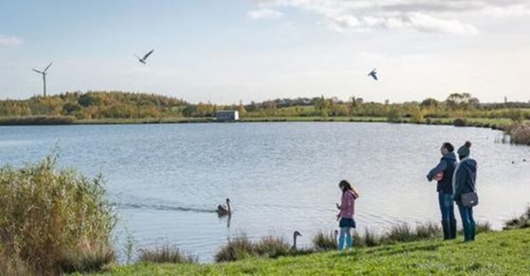 De desierto a oasis: el nuevo bosque de Gran Bretaña