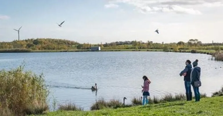 De desierto a oasis: el nuevo bosque de Gran Bretaña