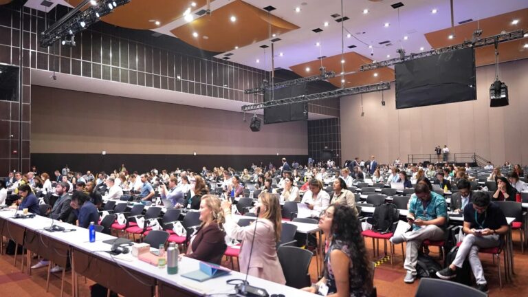 Un plan para que la sed de minerales clave para la transición energética no acabe con los ecosistemas