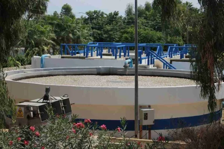 SOS Estero: El oasis de San José del Cabo, al borde del colapso