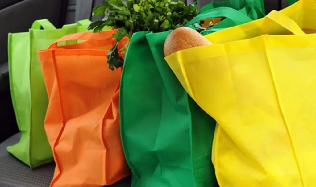 Nueva era sin bolsas plásticas: tendencias reutilizables para un planeta más verde