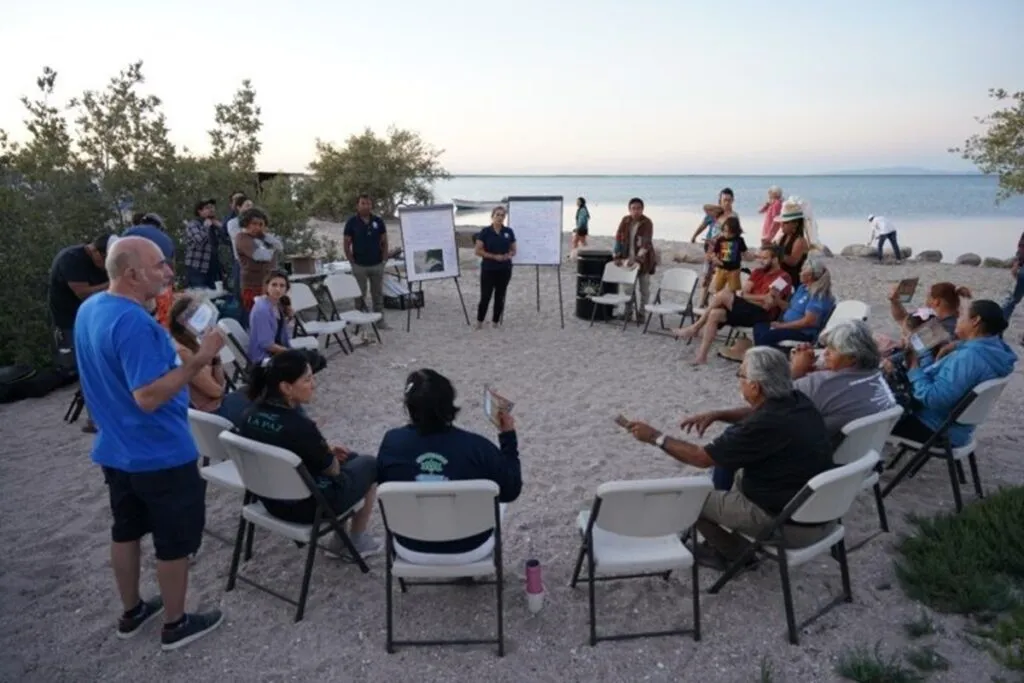 México: herramienta científica prevé pérdidas de manglar e impulsa defensa comunitaria