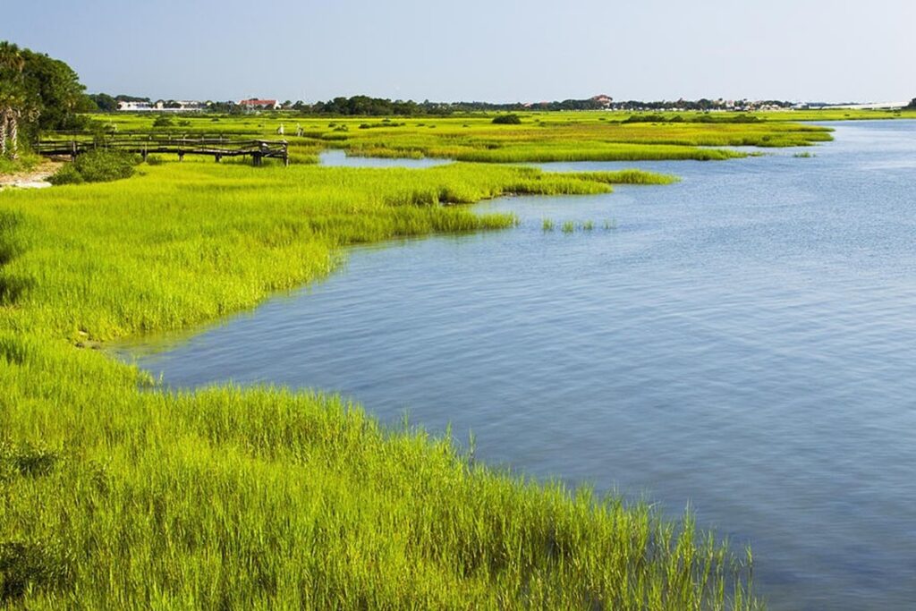 Deterioro de los humedales en el mundo: la problemática en más de 170 países